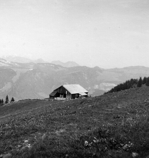 Alphütte Vorder-Baumgarten