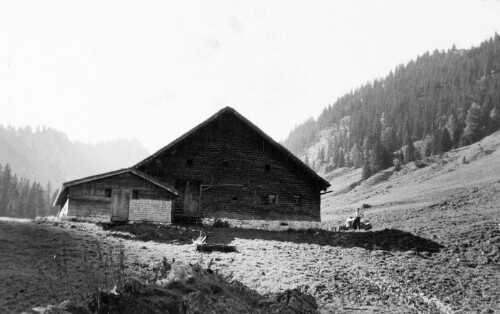 Alphütte mit Stall von Helbockstobel