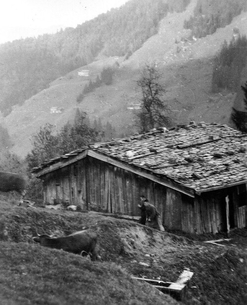 Alphütte in Sibratsgfäll