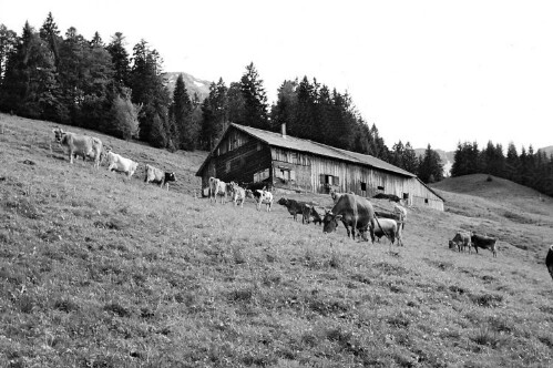Alphütte Lipurgers Ochsenhof