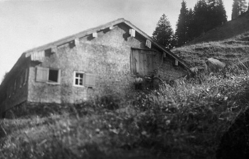 Alphütte Hintere Unterspitz in Bezau
