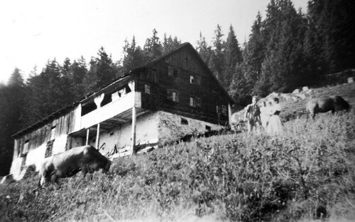 Alphütte Innauers Wildmoos