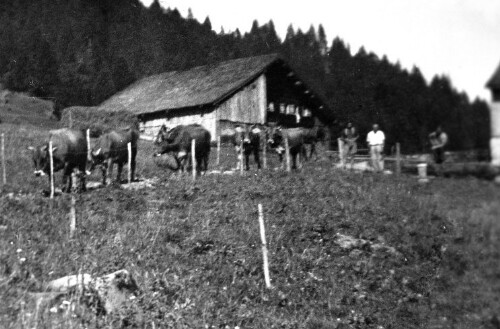 Hütte Kaufmanns Kretzboden