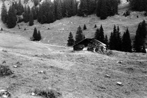 Alphütte Leopolds-Tobel