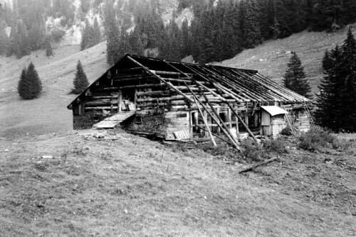 Alphütte Leopolds-Tobel