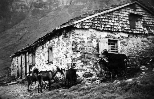 Alphütte Oberfelle