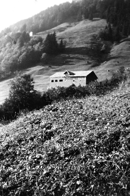 Hütte Alpe Erlensack