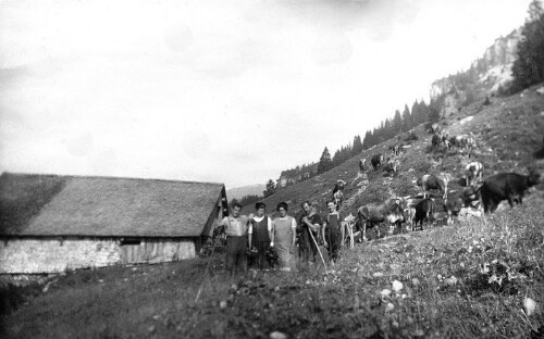Alphütte Ulfern