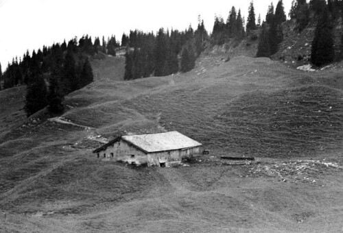 Alphütte Sattelegg