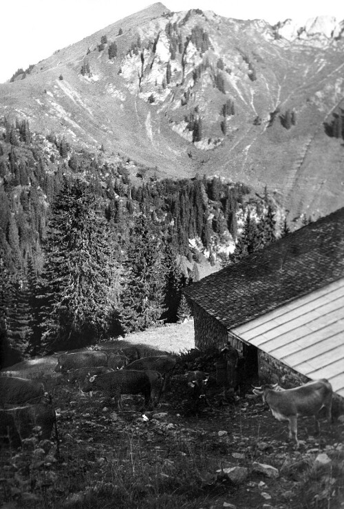 Alphütte Stoggertenn