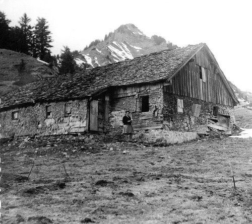 Alphütte Nesselfluh