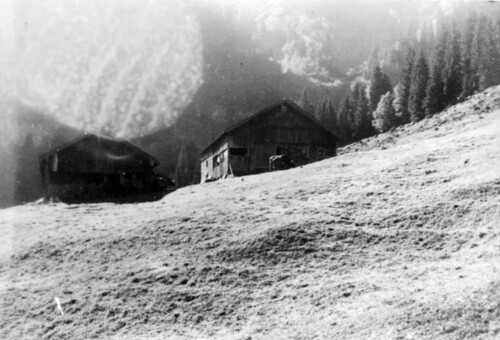 Alpe Oberwald