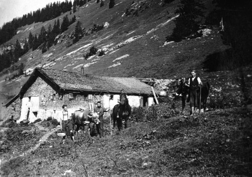 Alphütte Mittelhirschberg