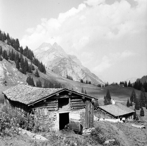 Alphütte Felle mit Stall