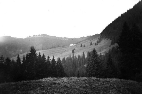Alphütte Hasengerachalpe