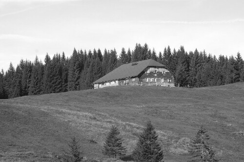 Alphütte Brünnelesegg