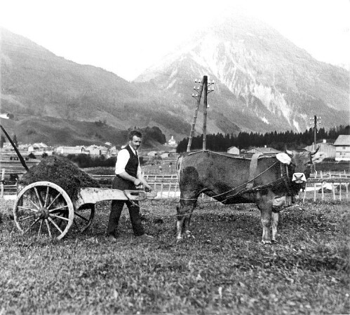 [Berggut Ahornen, Au]