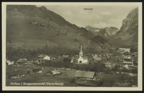 Mellau i. Bregenzerwald (Vorarlberg) : Didamskopf