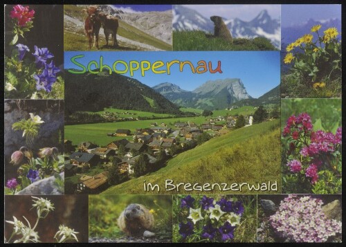 Schoppernau im Bregenzerwald : [Schoppernau im Bregenzerwald mit Klipperen und Kanisfluh, 2047 m, Vorarlberg, Österreich ...]