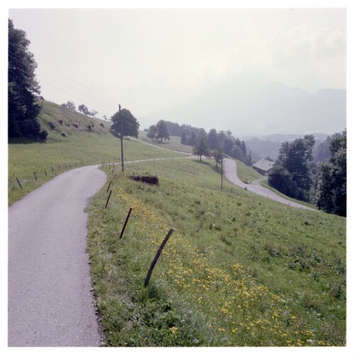 ABB-Alpen, Straße Schwarzenberg Tobel Richtung Lorena