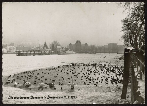 Der zugefrorene Bodensee in Bregenz am 10. 2. 1963