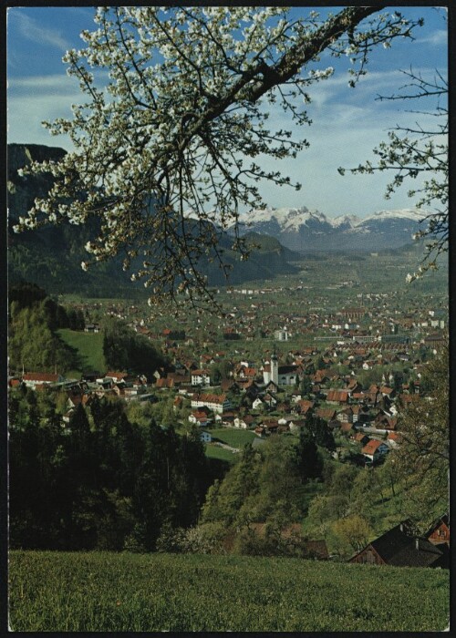 [Dornbirn] : [Dornbirn, Oberdorf und Hatlerdorf, mit Schweizer Berge, Vorarlberg, Austria ...]