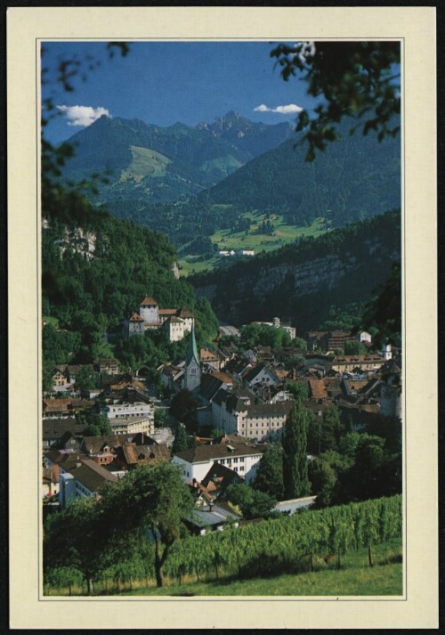 [Feldkirch] : [Sommer - Freizeit - Erlebnis in der Bischofsstadt Feldkirch, Vorarlberg - Austria ...]