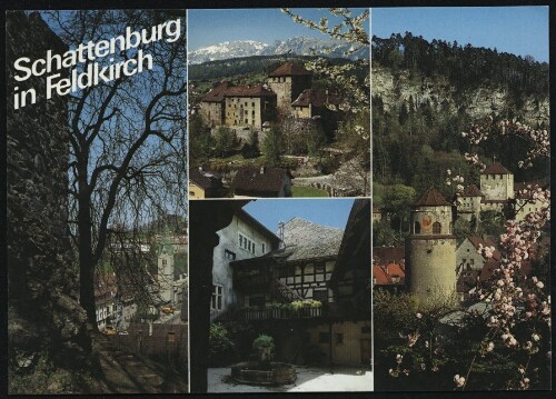 Schattenburg : in Feldkirch : [Montfortstadt Feldkirch, Schattenburg, Vorarlberg, Österreich ...]