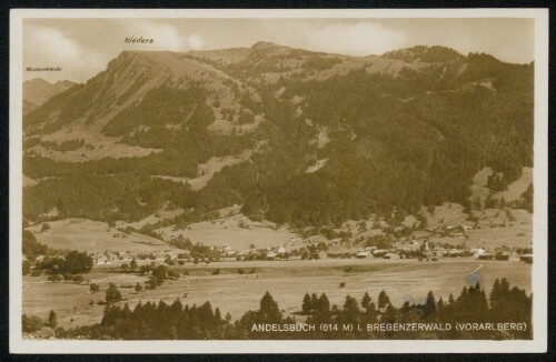 Andelsbuch (614 m) i. Bregenzerwald (Vorarlberg) : Winterstaude : Niedere