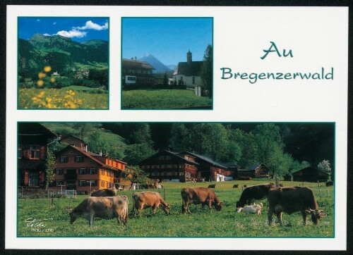 Au Bregenzerwald : [Au im Bregenzerwald, 719 m ...]