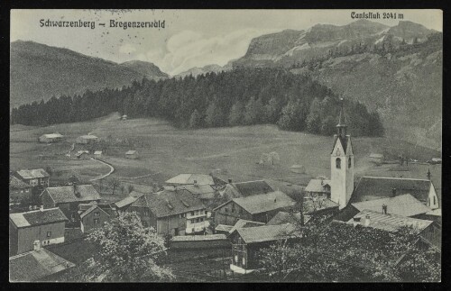 Schwarzenberg - Bregenzerwald : Canisfluh 2041 m : [Correspondenz-Karte ...]