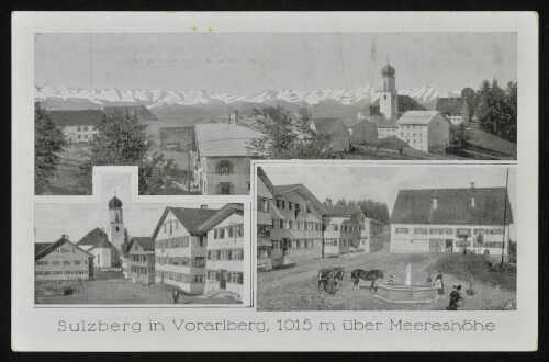 Sulzberg in Vorarlberg, 1015 m über Meereshöhe : [Postkarte ...]