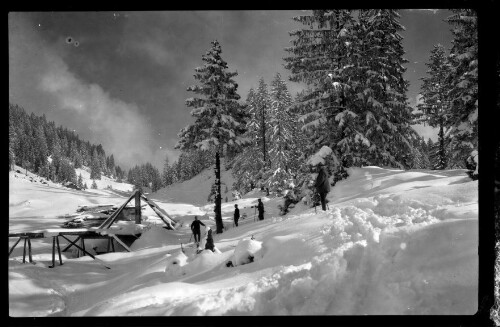 [Aufnahme von vier Skiläufern in einer verschneiten Winterlandschaft]