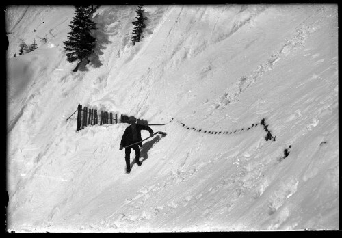 [Aufnahme eines Arlbergrechens oberhalb der Ortschaft Langen am Arlberg im Winter]