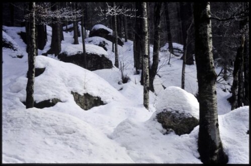 [Hittisau, Leckenholz im Winter]