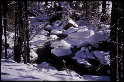 [Hittisau, Leckenholz im Winter]