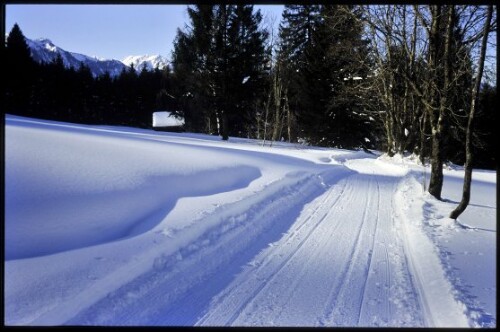 [Ludesch, Winterweg Bofel-Vieus]