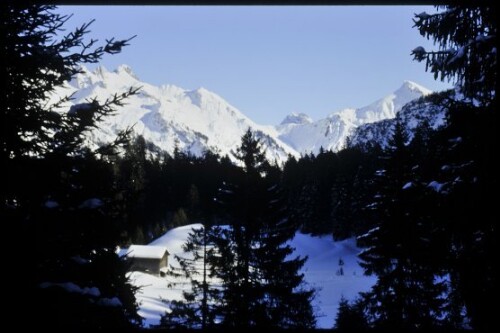 [Sonntag, Talschluss vom Winterweg Partnom]