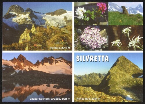 [Gaschurn Partenen] Silvretta : Piz Buin, 3312 m : Hohes Rad, 2934 m ... : [Berge in der Silvretta, Alpenrose (weiß und rot), Murmeltiere, Gletscher Mannschild, Edelweiß ...]
