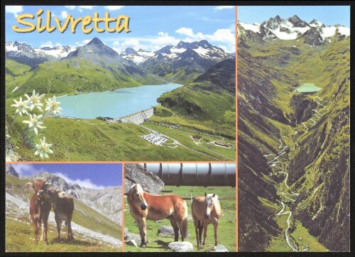 [Gaschurn Partenen] Silvretta : [Bieler Höhe, 2032 m mit Bielersee gegen Piz Buin, Kühe (Braunvieh), Pferde (Haflinger) ...]