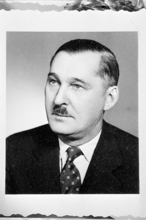 Nationalratsabgeordneter Herbert Lins