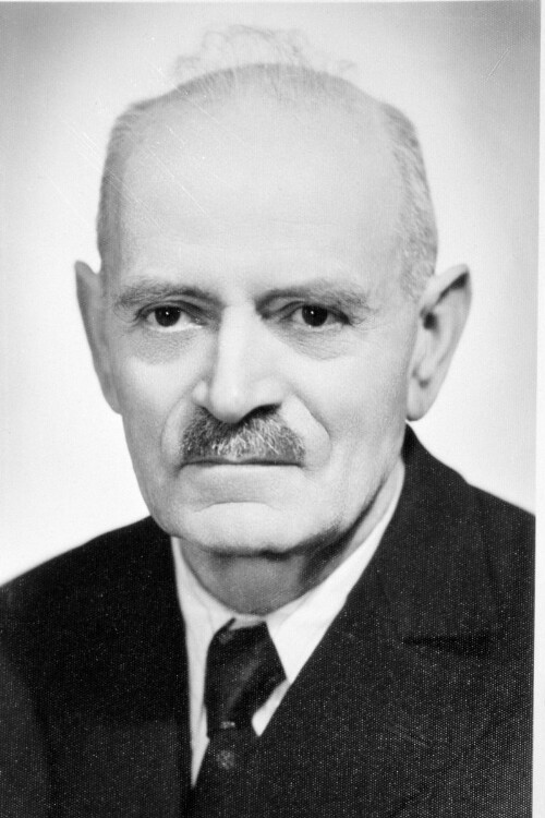 Landtagsabgeordneter Adolf Hämmerle