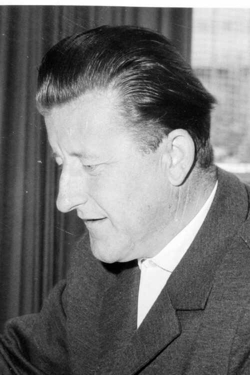 Landtagsabgeordneter Josef Fritz