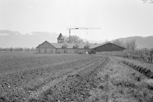 Blum Obstbau in Höchst - Bausünde