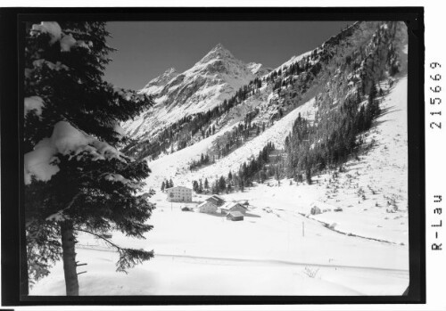 Weisswald 1575 m gegen Brandkogel 2677 m und Steinkogel 2635 m, Pitztal / Tirol