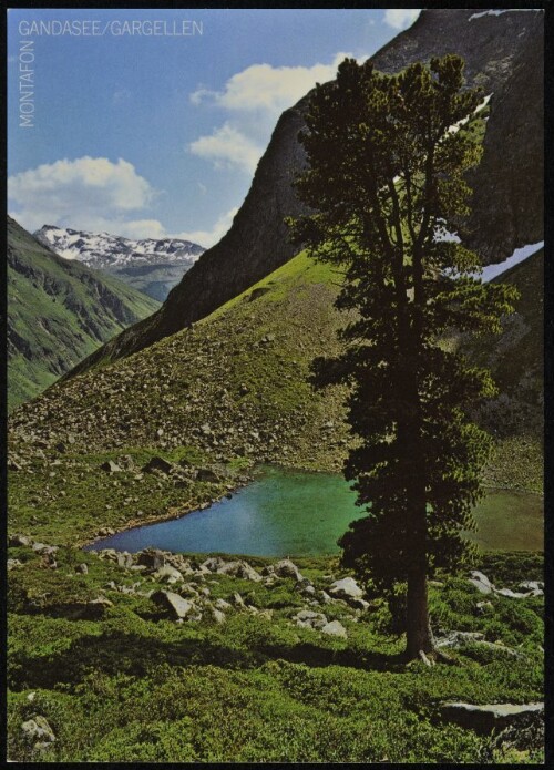 [St. Gallenkirch] Gandasee/Gargellen : Montafon : [Gandasee, 1968 m, bei Gargellen im Montafon gegen Rotbühlspitze, 2852 m, Vorarlberg, Österreich ...]