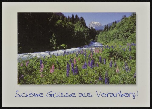 [St. Gallenkirch Gargellen] Schöne Grüsse aus Vorarlberg! : [Suggedinbach mit Madrisa, Montafon Vorarlberg, Österreich ...]