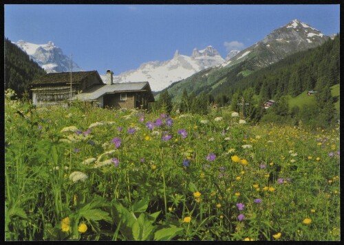 [Tschagguns] : [Gauertal im Rätikon, Montafon, mit Sulzfluh, Drei Türme, 2828 m und Geißspitze, Vorarlberg, Österreich ...]
