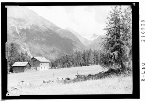 Alpengasthaus Waldruhe / Wurzbergalm 1573 m gegen Schrankogel 3495 m und Mutterbergerseespitze 3308 m