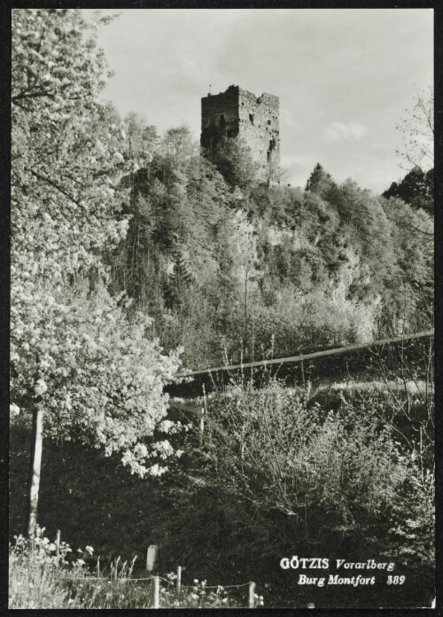 Götzis Vorarlberg : Burg Montfort